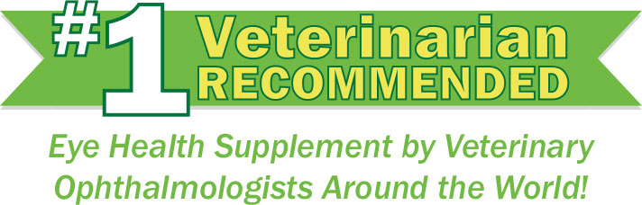 Ocu-GLO is the #1 Veterinarian Recommended Eye Health Supplement by Veterinary Ophthalmologists Around the World!